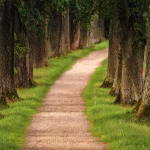 Pathway